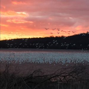 Meet your Posher, Mimi